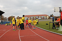 World Marathon Challenge 2013 - Pardubice - obr. 8